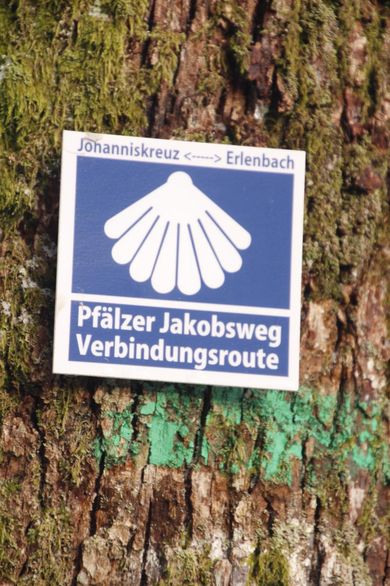 Apartment Ferienwohung Am Felsenwanderweg Im Pfaelzerwald *