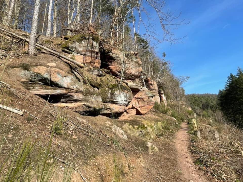 Ferienwohung Am Felsenwanderweg Im Pfaelzerwald