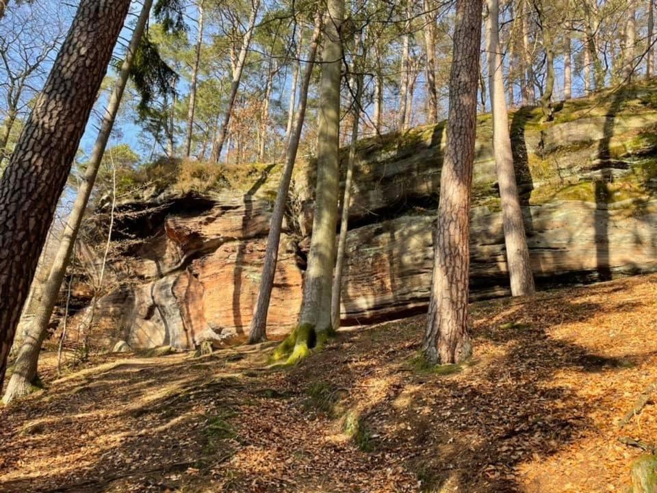 Apartment Ferienwohung Am Felsenwanderweg Im Pfaelzerwald Rodalben