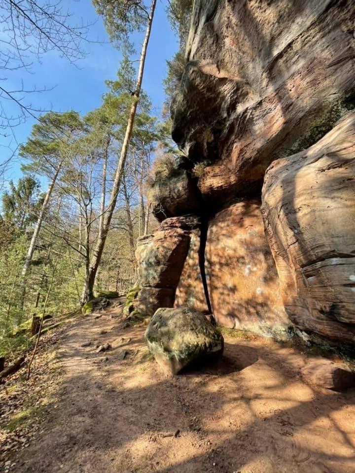 Ferienwohung Am Felsenwanderweg Im Pfaelzerwald Apartamento